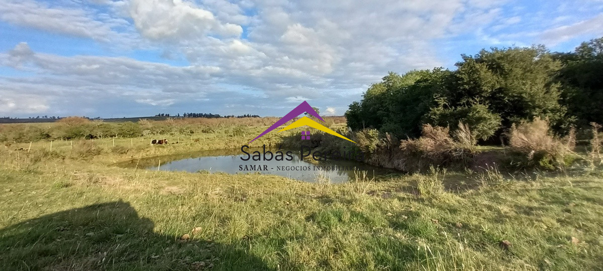 Campo Ref.41059 - Venta Fabrica de Ladrillos . Pan de Azúcar, Piriapolis, Maldonado.