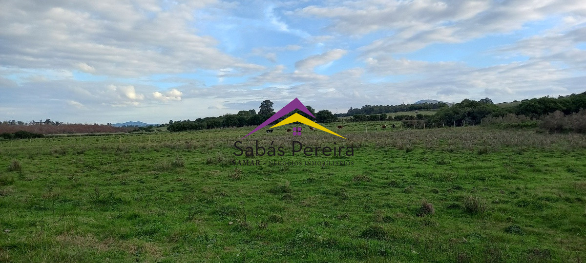 Campo Ref.41059 - Venta Fabrica de Ladrillos . Pan de Azúcar, Piriapolis, Maldonado.