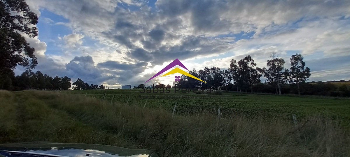 Campo Ref.41059 - Venta Fabrica de Ladrillos . Pan de Azúcar, Piriapolis, Maldonado.