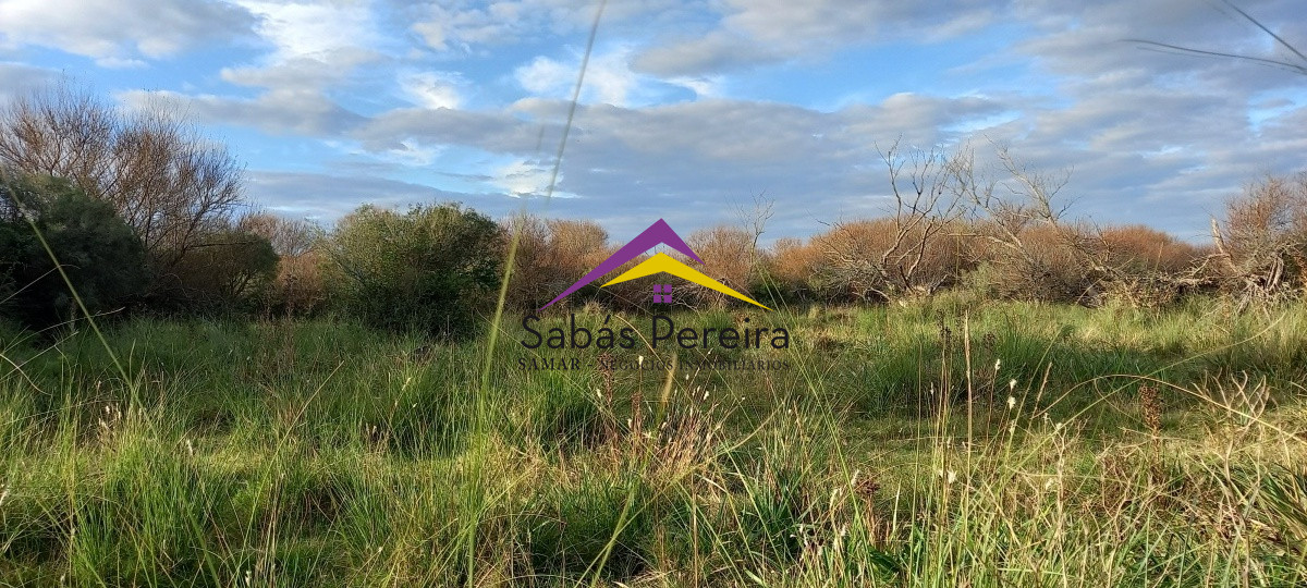 Campo Ref.41059 - Venta Fabrica de Ladrillos . Pan de Azúcar, Piriapolis, Maldonado.