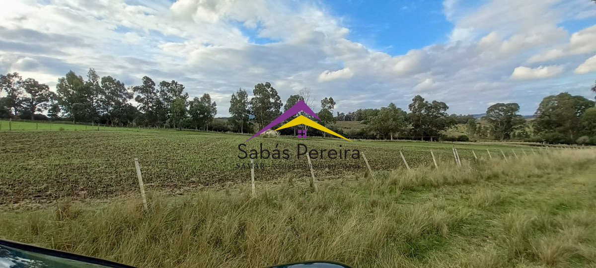 Campo Ref.41059 - Venta Fabrica de Ladrillos . Pan de Azúcar, Piriapolis, Maldonado.