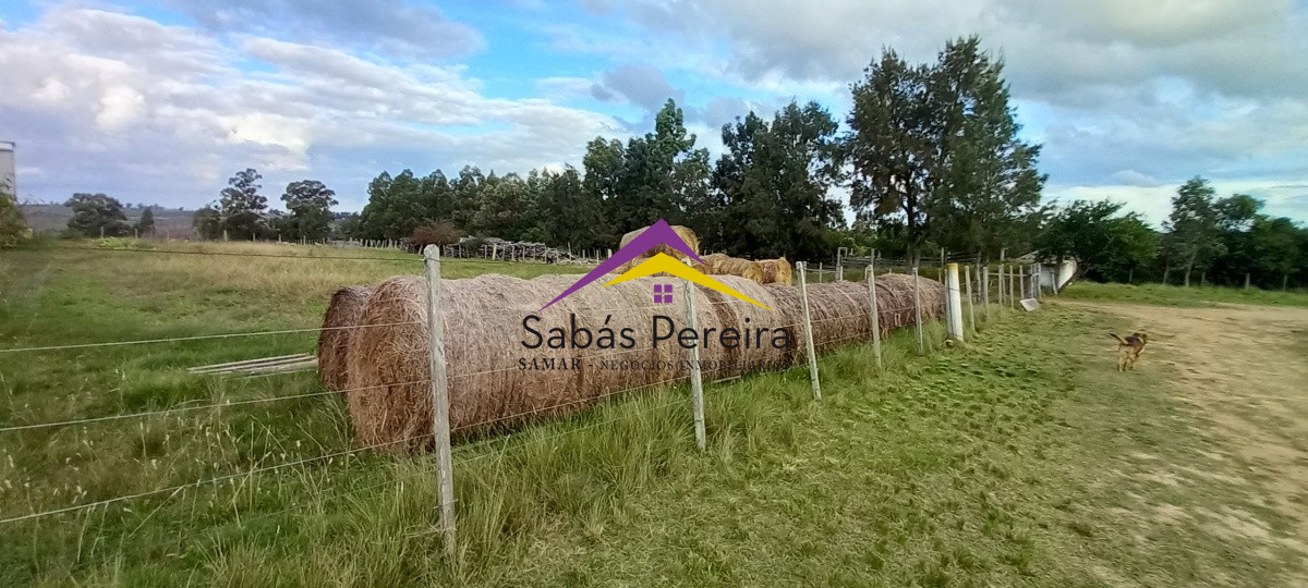 Campo Ref.41059 - Venta Fabrica de Ladrillos . Pan de Azúcar, Piriapolis, Maldonado.