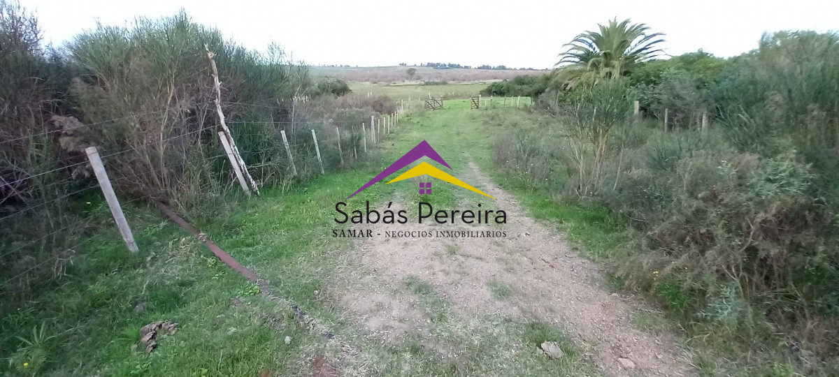 Campo Ref.41059 - Venta Fabrica de Ladrillos . Pan de Azúcar, Piriapolis, Maldonado.