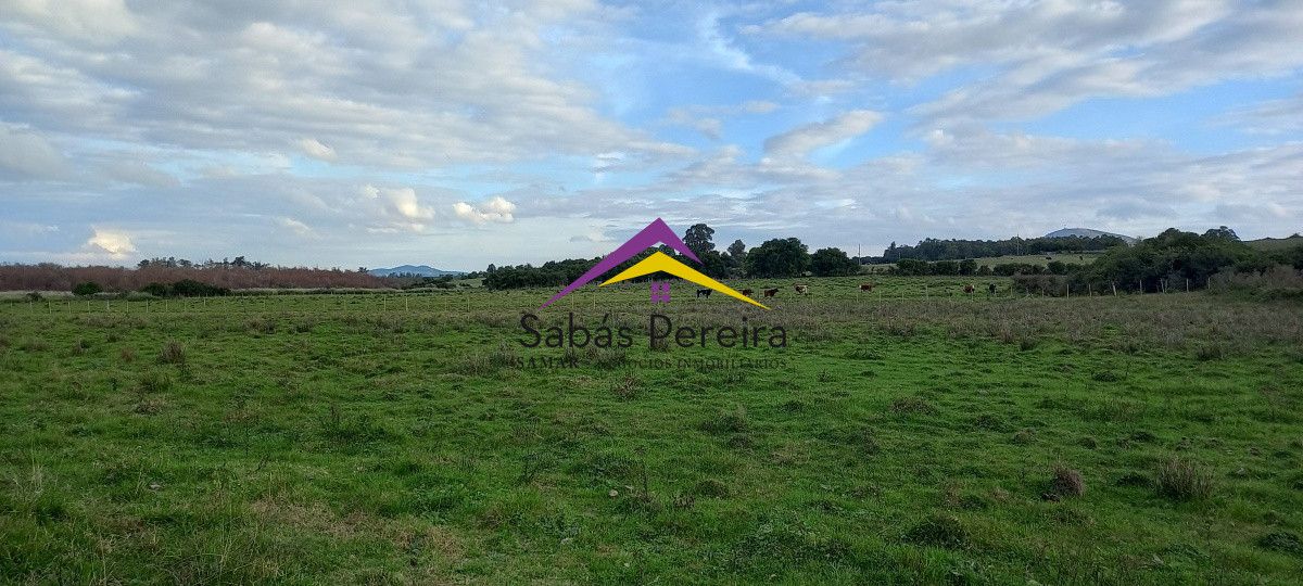 Campo Ref.41059 - Venta Fabrica de Ladrillos . Pan de Azúcar, Piriapolis, Maldonado.
