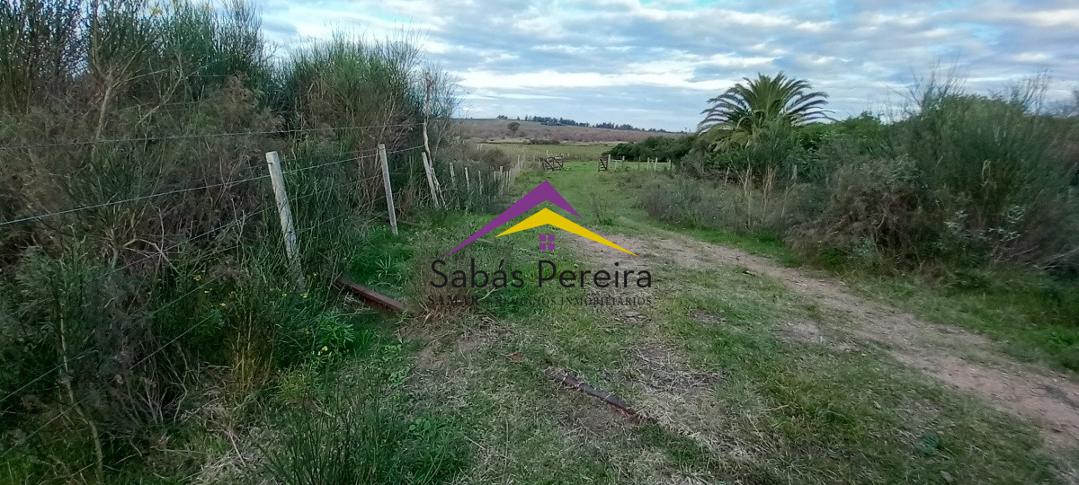 Campo Ref.41059 - Venta Fabrica de Ladrillos . Pan de Azúcar, Piriapolis, Maldonado.