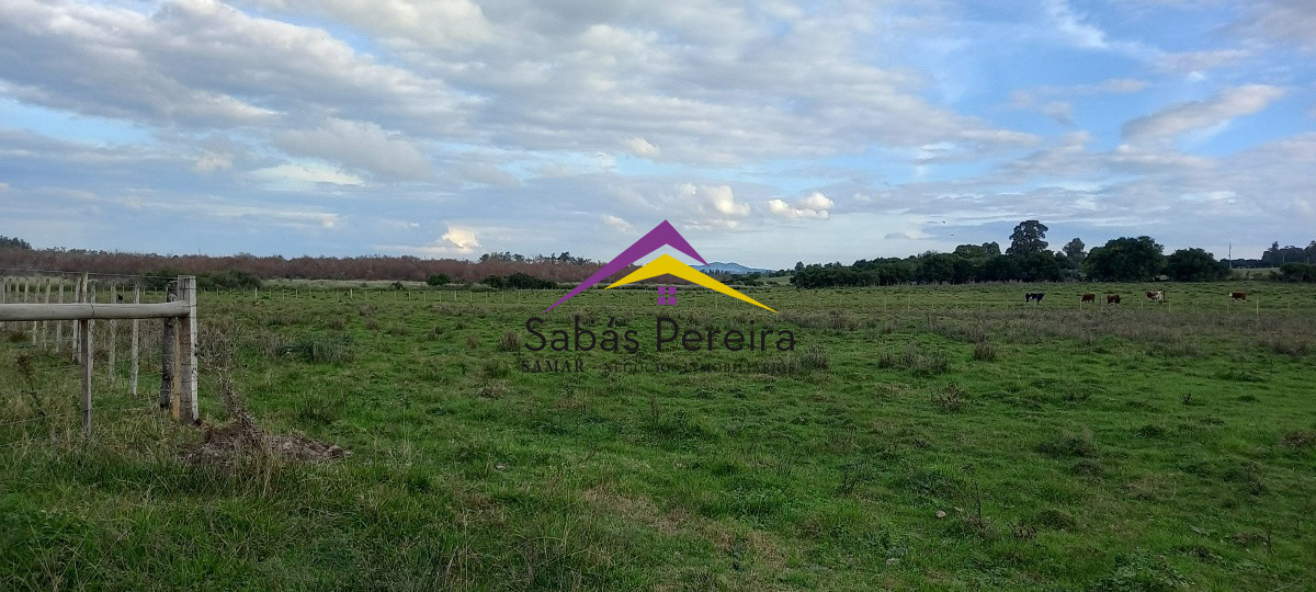 Campo Ref.41059 - Venta Fabrica de Ladrillos . Pan de Azúcar, Piriapolis, Maldonado.