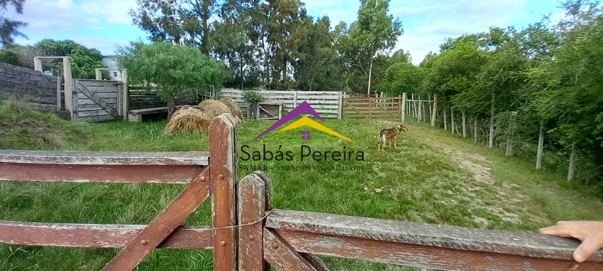 Campo Ref.41059 - Venta Fabrica de Ladrillos . Pan de Azúcar, Piriapolis, Maldonado.