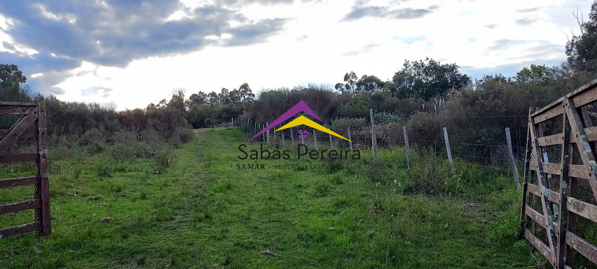 Campo Ref.41059 - Venta Fabrica de Ladrillos . Pan de Azúcar, Piriapolis, Maldonado.