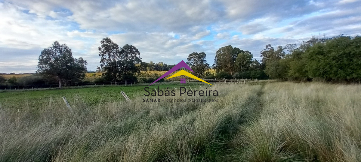 Campo Ref.41059 - Venta Fabrica de Ladrillos . Pan de Azúcar, Piriapolis, Maldonado.