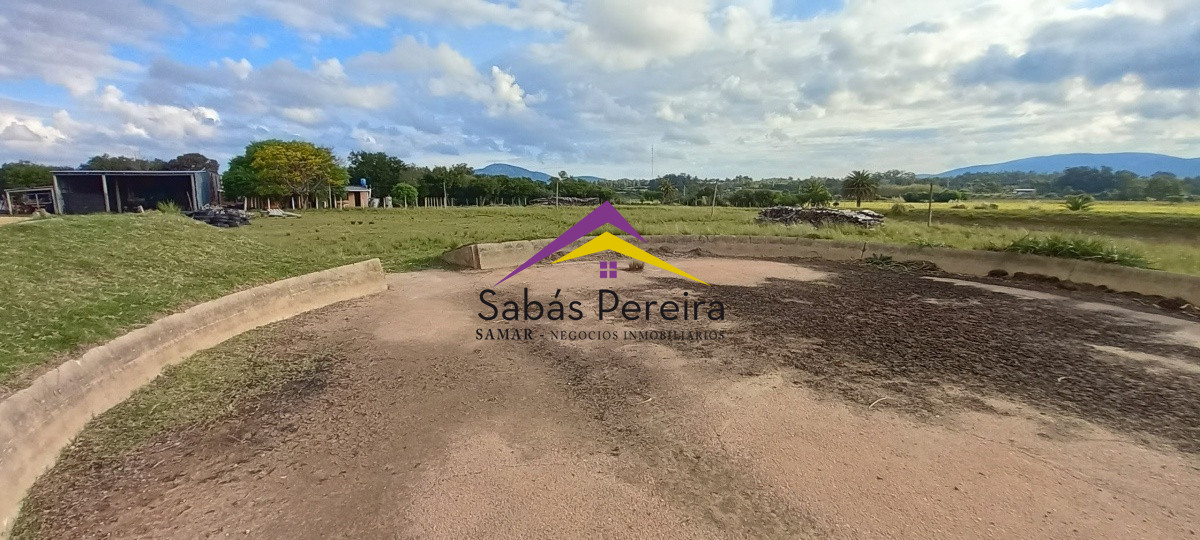 Campo Ref.41059 - Venta Fabrica de Ladrillos . Pan de Azúcar, Piriapolis, Maldonado.