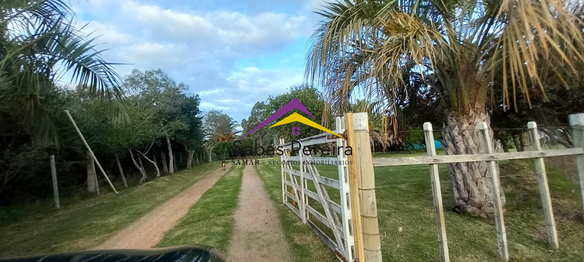 Campo Ref.41059 - Venta Fabrica de Ladrillos . Pan de Azúcar, Piriapolis, Maldonado.