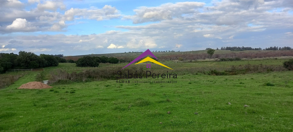 Campo Ref.41059 - Venta Fabrica de Ladrillos . Pan de Azúcar, Piriapolis, Maldonado.