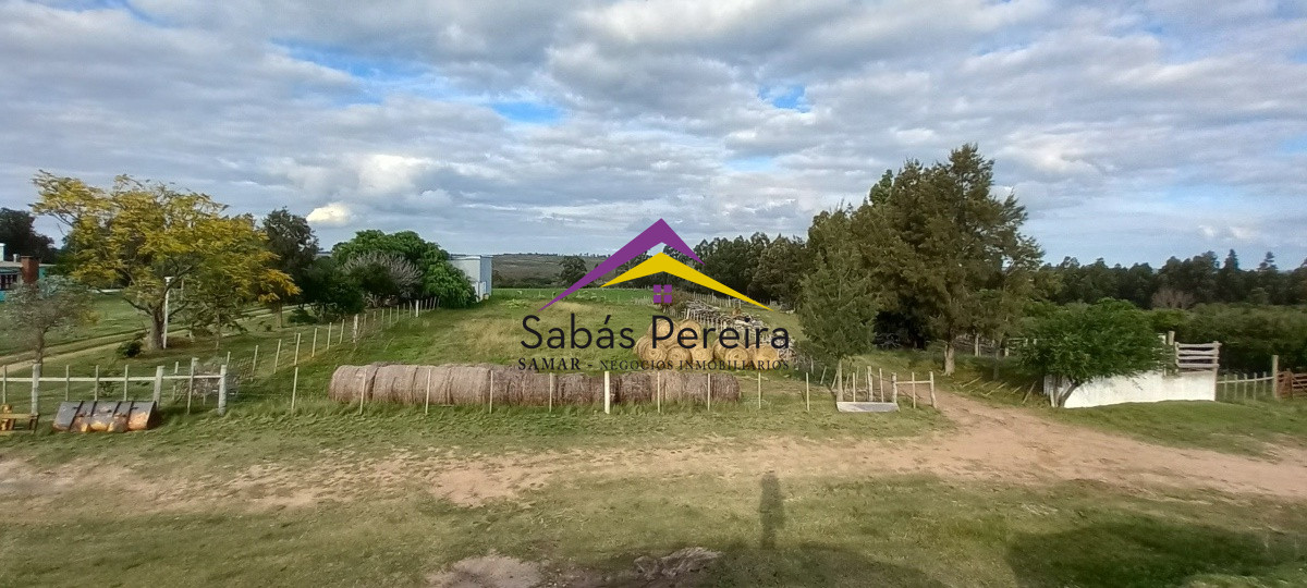 Campo Ref.41059 - Venta Fabrica de Ladrillos . Pan de Azúcar, Piriapolis, Maldonado.