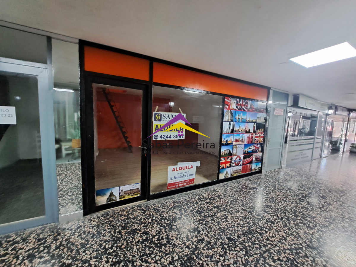 Península - GoPunta - Portal Inmobiliario de Punta del Este - Maldonado