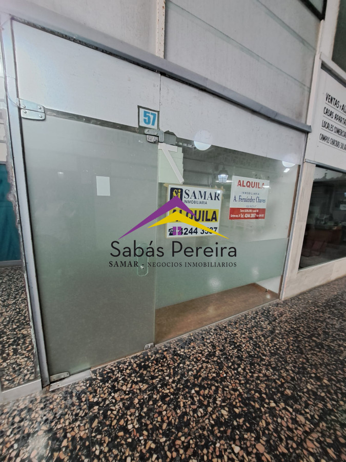 Local Comercial ID.41214 - ALQUILER LOCAL COMERCIAL PUNTA DEL ESTE