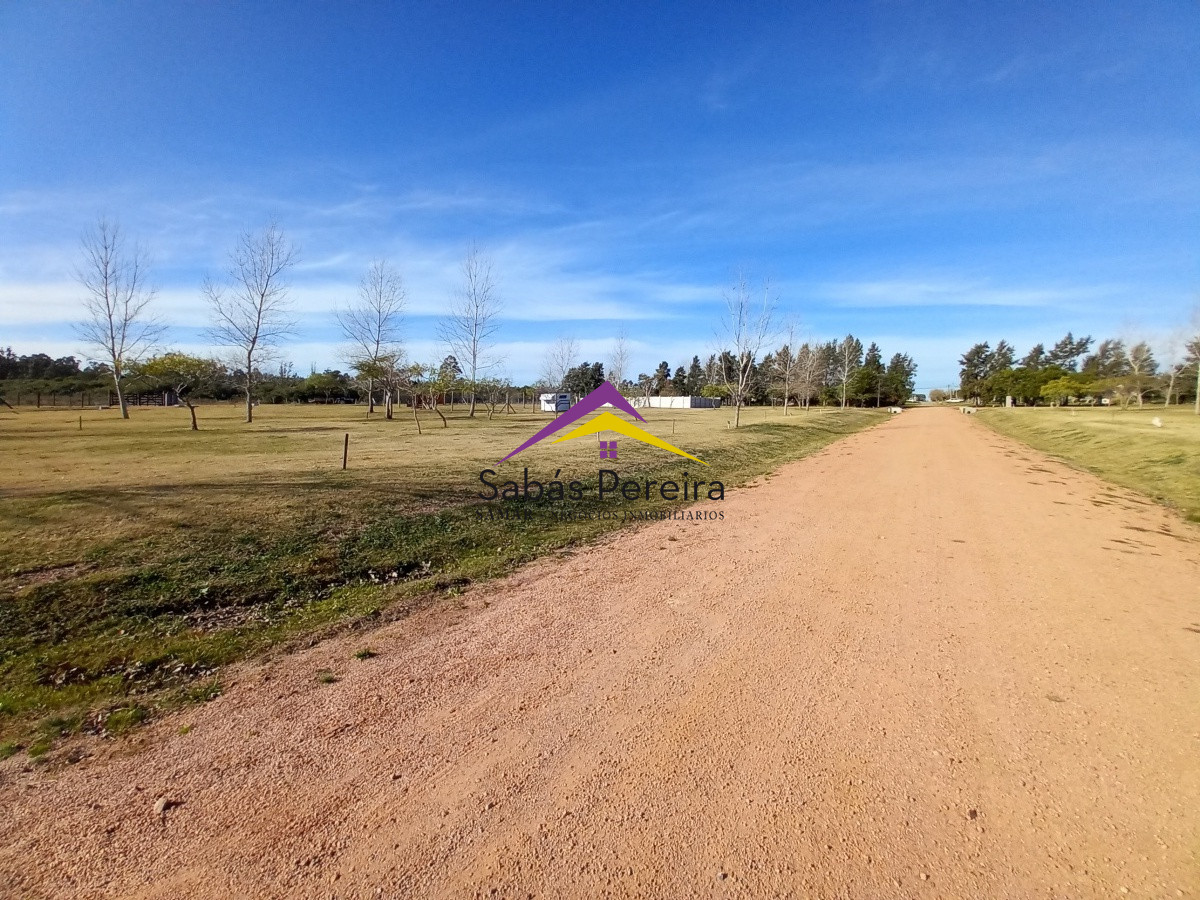 Terreno ID.41020 - Venta Terreno 300m2, Piriápolis, Maldonado