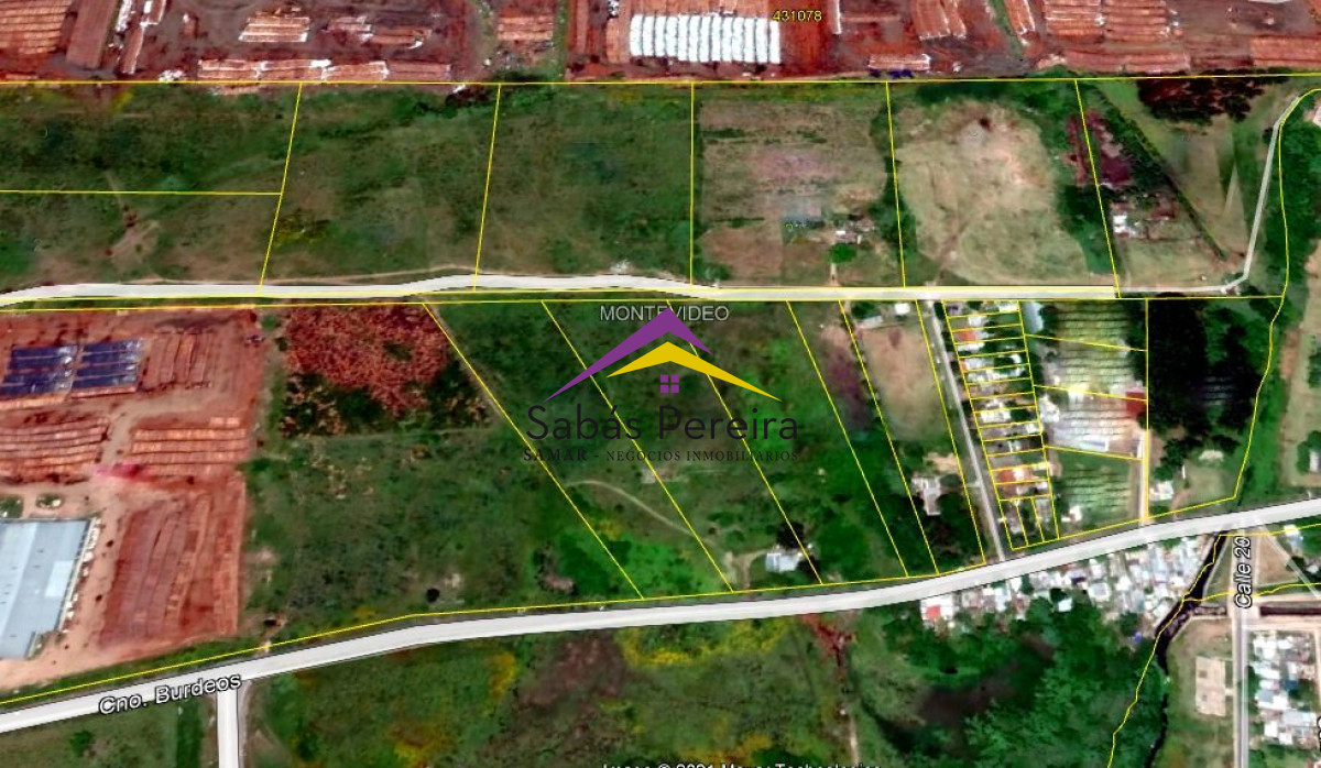 Cerro - GoPunta - Portal Inmobiliario de Punta del Este - Maldonado
