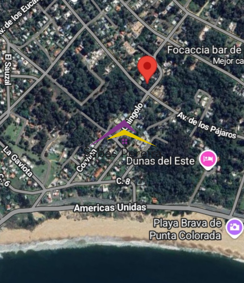 Punta Colorada - GoPunta - Portal Inmobiliario de Punta del Este - Maldonado