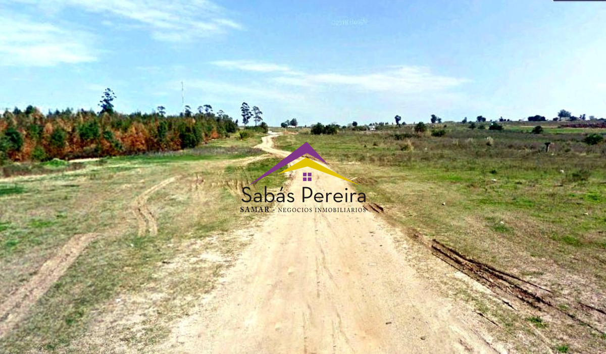 Cerro - GoPunta - Portal Inmobiliario de Punta del Este - Maldonado