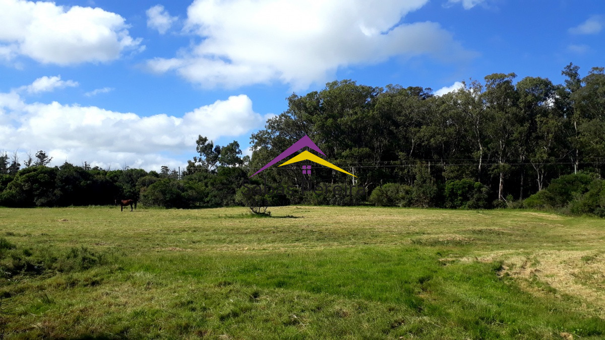 Las Flores - GoPunta - Portal Inmobiliario de Punta del Este - Maldonado