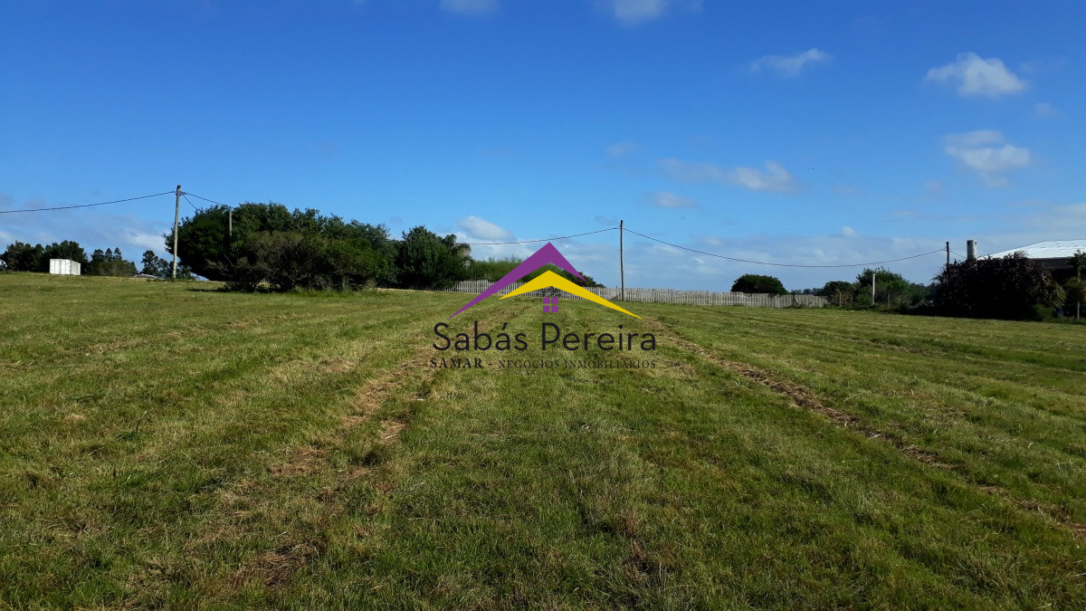 Las Flores - GoPunta - Portal Inmobiliario de Punta del Este - Maldonado