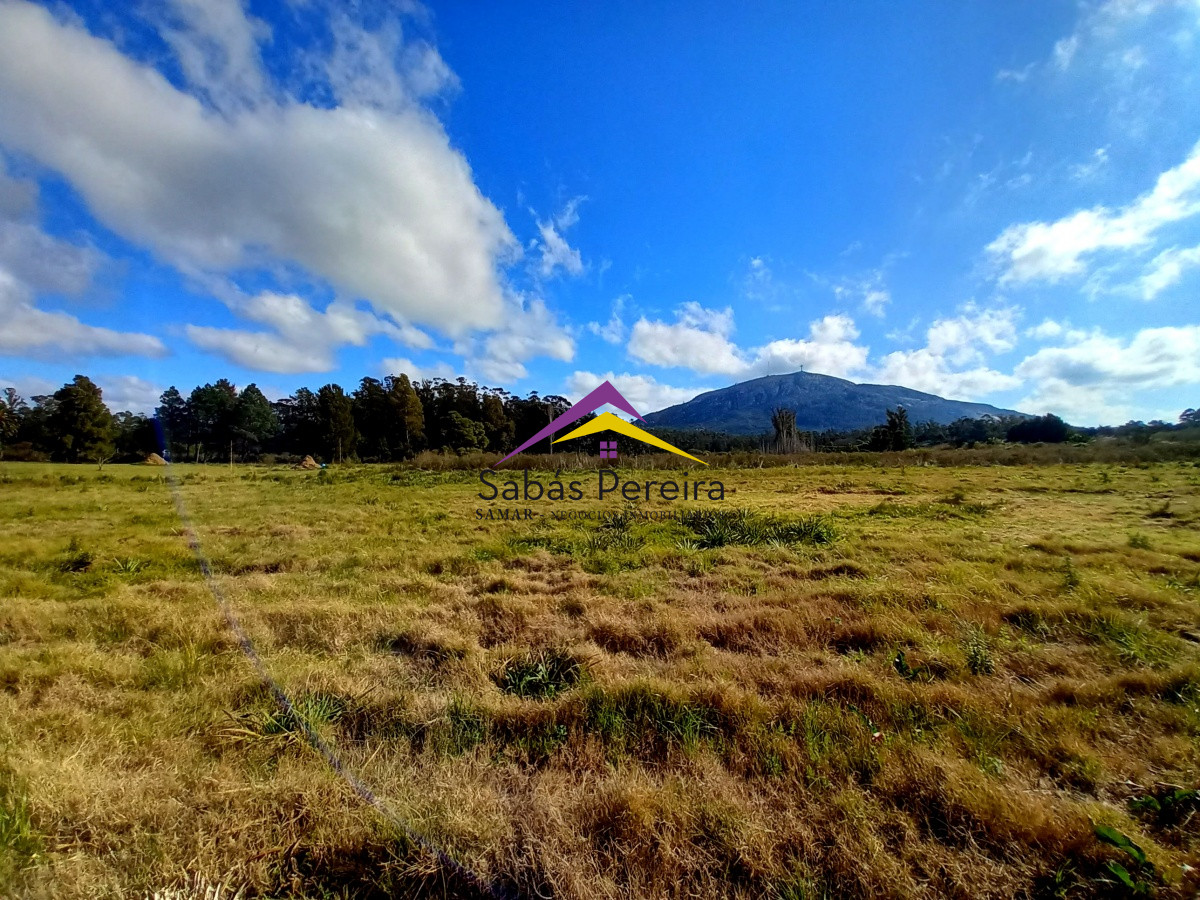 Ruta - GoPunta - Portal Inmobiliario de Punta del Este - Maldonado
