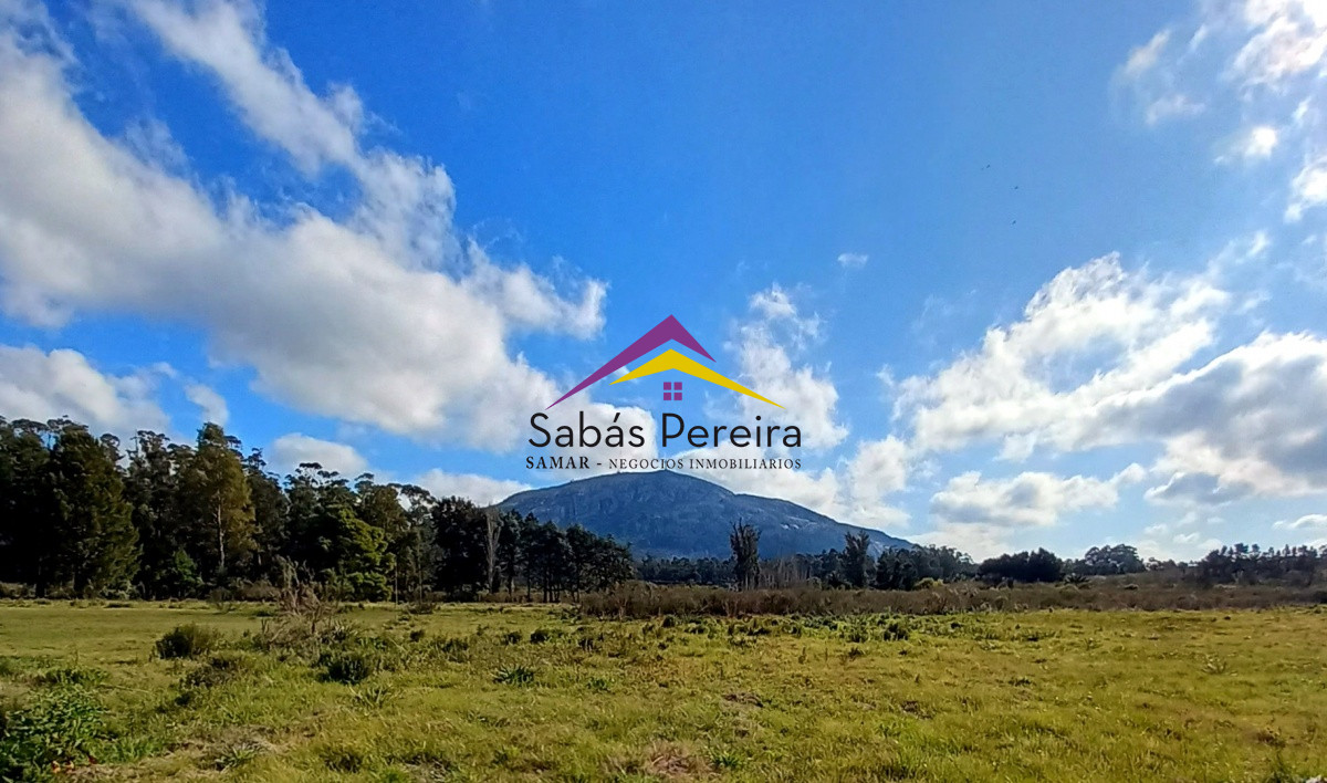 Ruta - GoPunta - Portal Inmobiliario de Punta del Este - Maldonado