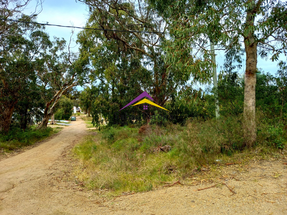 Punta Fria - GoPunta - Portal Inmobiliario de Punta del Este - Maldonado