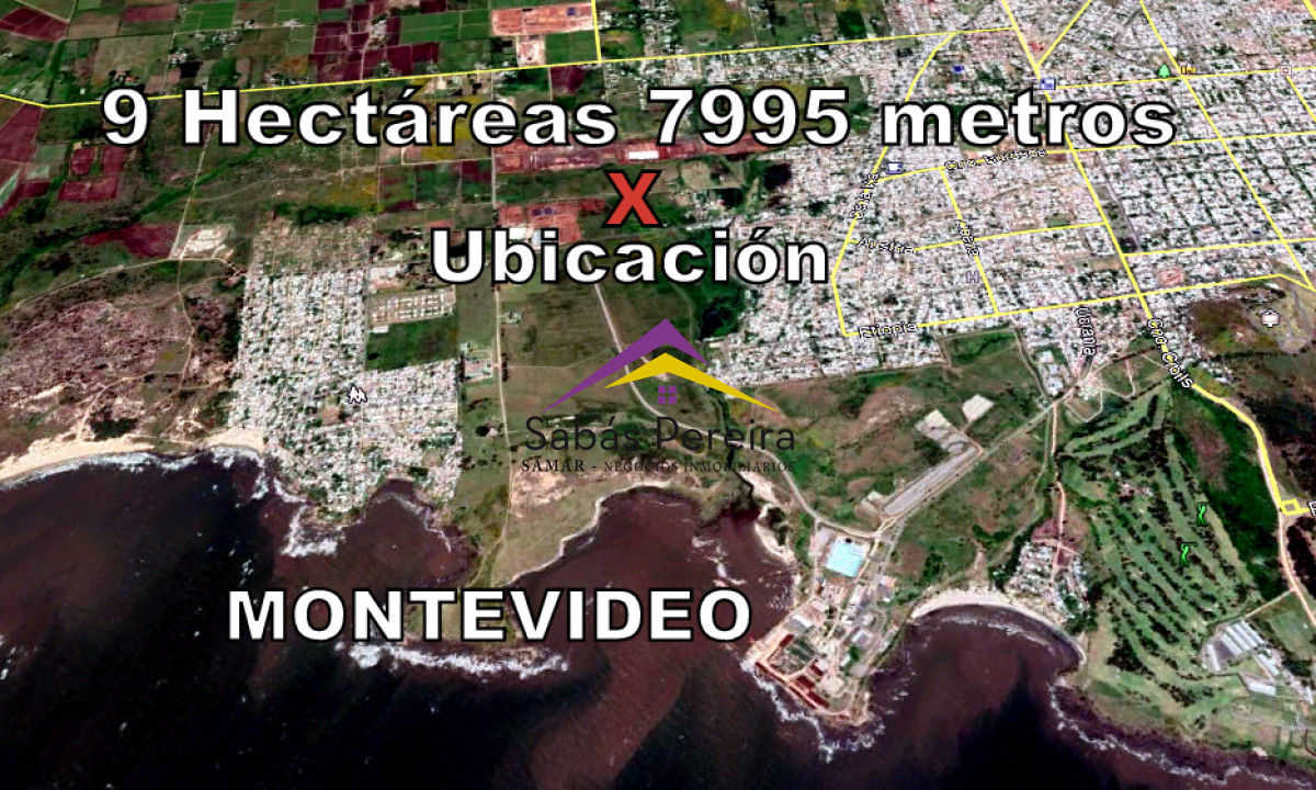 Cerro - GoPunta - Portal Inmobiliario de Punta del Este - Maldonado