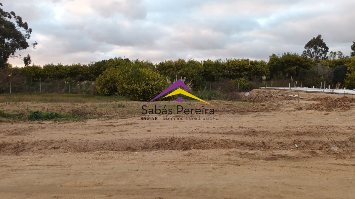 El Tesoro - GoPunta - Portal Inmobiliario de Punta del Este - Maldonado