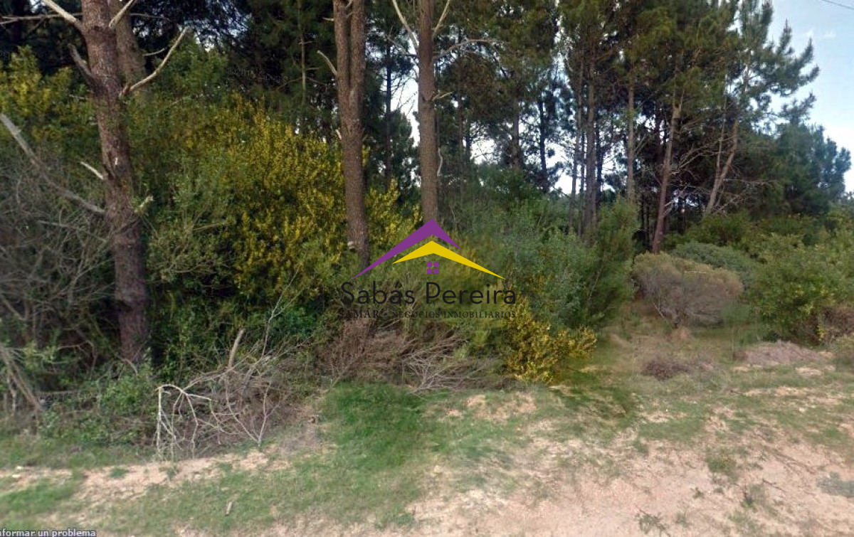 Punta Colorada - GoPunta - Portal Inmobiliario de Punta del Este - Maldonado