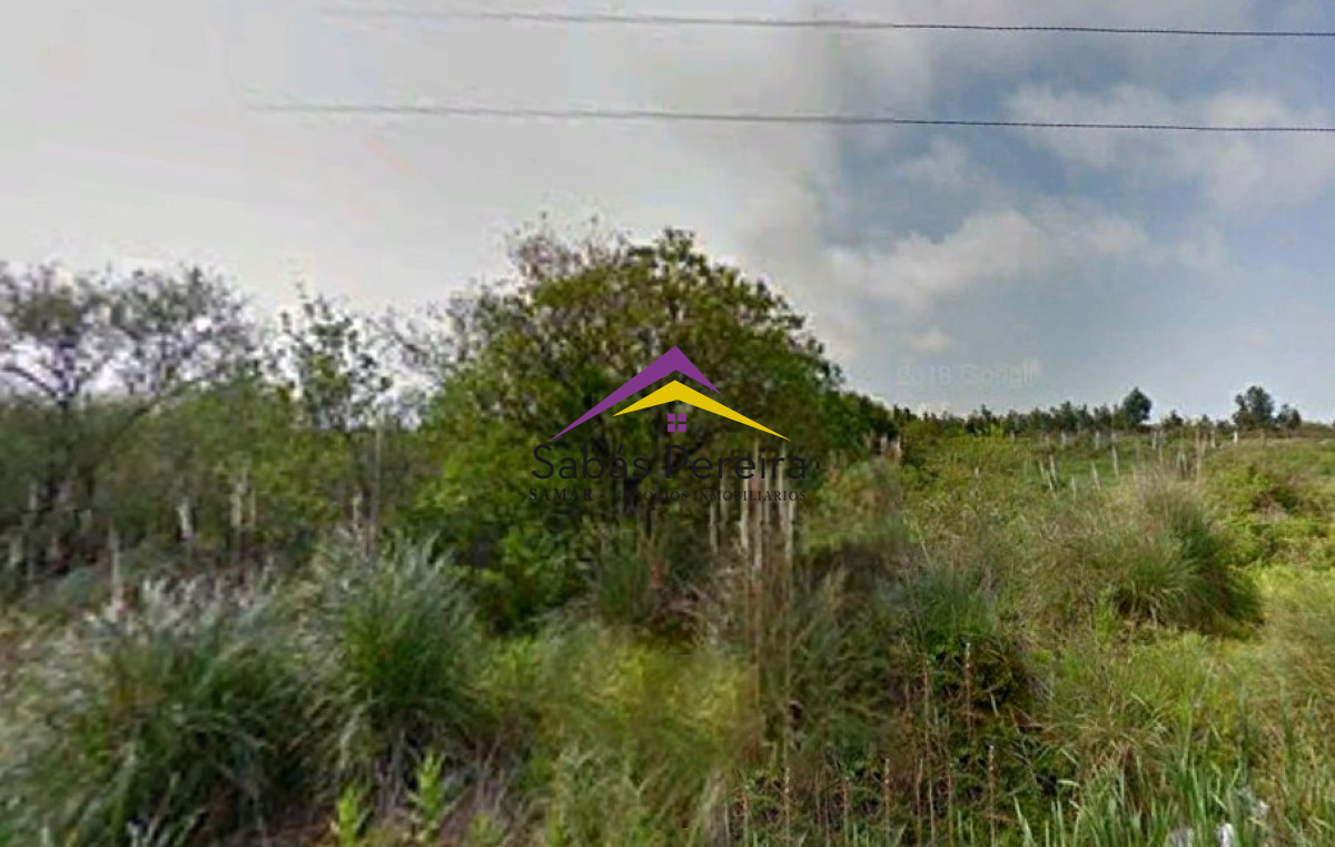 Terreno ID.41040 - SE VENDEN TERRENOS EN ZONA LOGISTIA DE MONTEVIDEO 