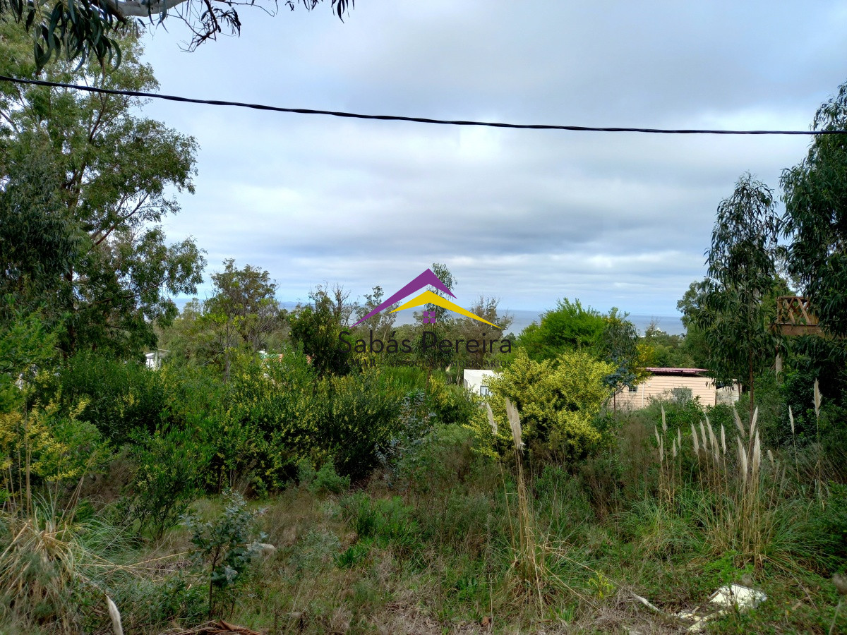 Punta Fria - GoPunta - Portal Inmobiliario de Punta del Este - Maldonado