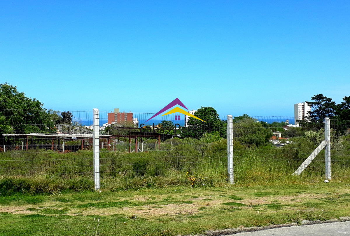 Centro - GoPunta - Portal Inmobiliario de Punta del Este - Maldonado