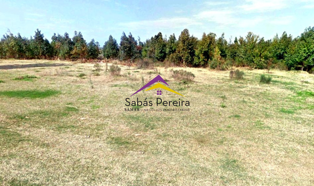 Terreno ID.41040 - SE VENDEN TERRENOS EN ZONA LOGISTIA DE MONTEVIDEO 