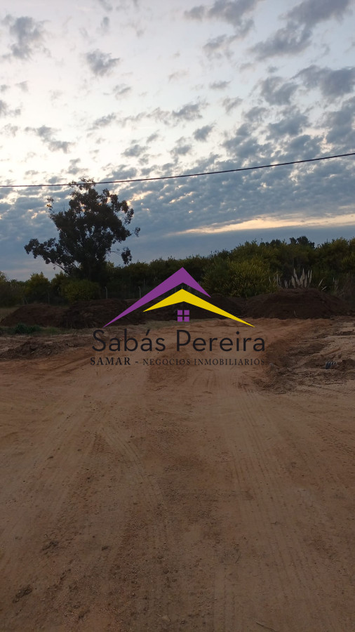 El Tesoro - GoPunta - Portal Inmobiliario de Punta del Este - Maldonado