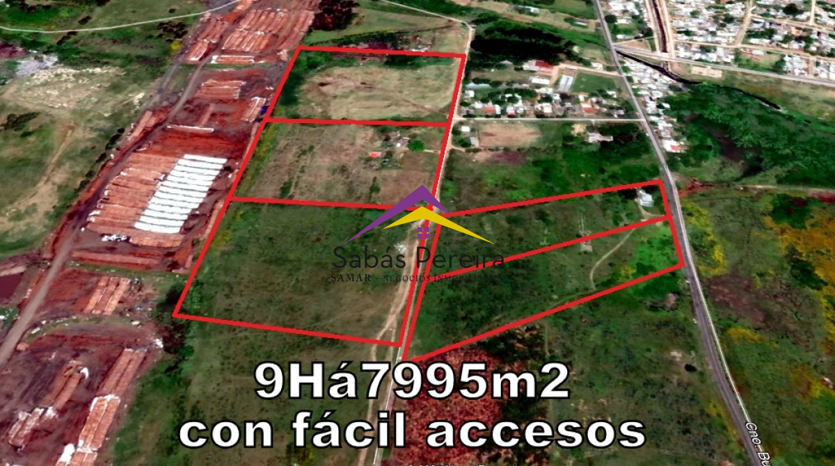 Cerro - GoPunta - Portal Inmobiliario de Punta del Este - Maldonado