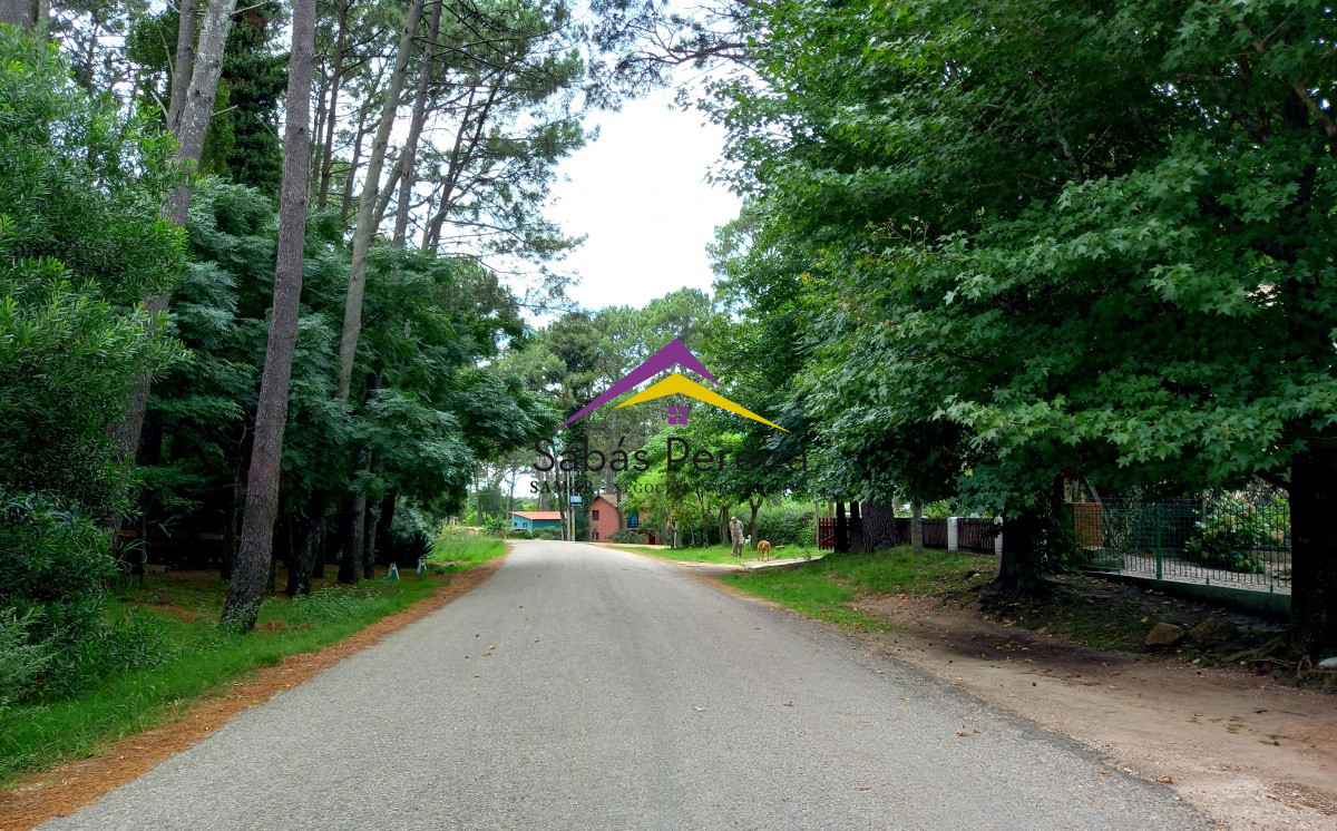 Country - GoPunta - Portal Inmobiliario de Punta del Este - Maldonado