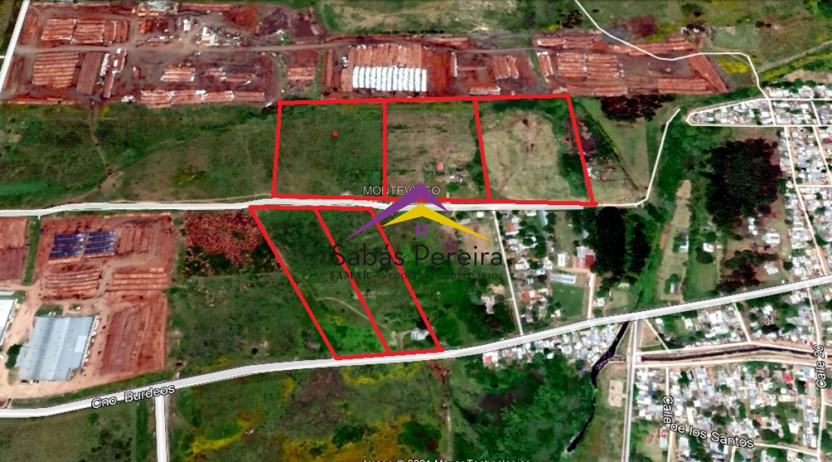 Cerro - GoPunta - Portal Inmobiliario de Punta del Este - Maldonado