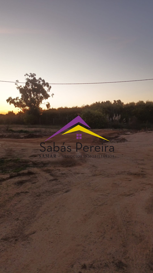 El Tesoro - GoPunta - Portal Inmobiliario de Punta del Este - Maldonado