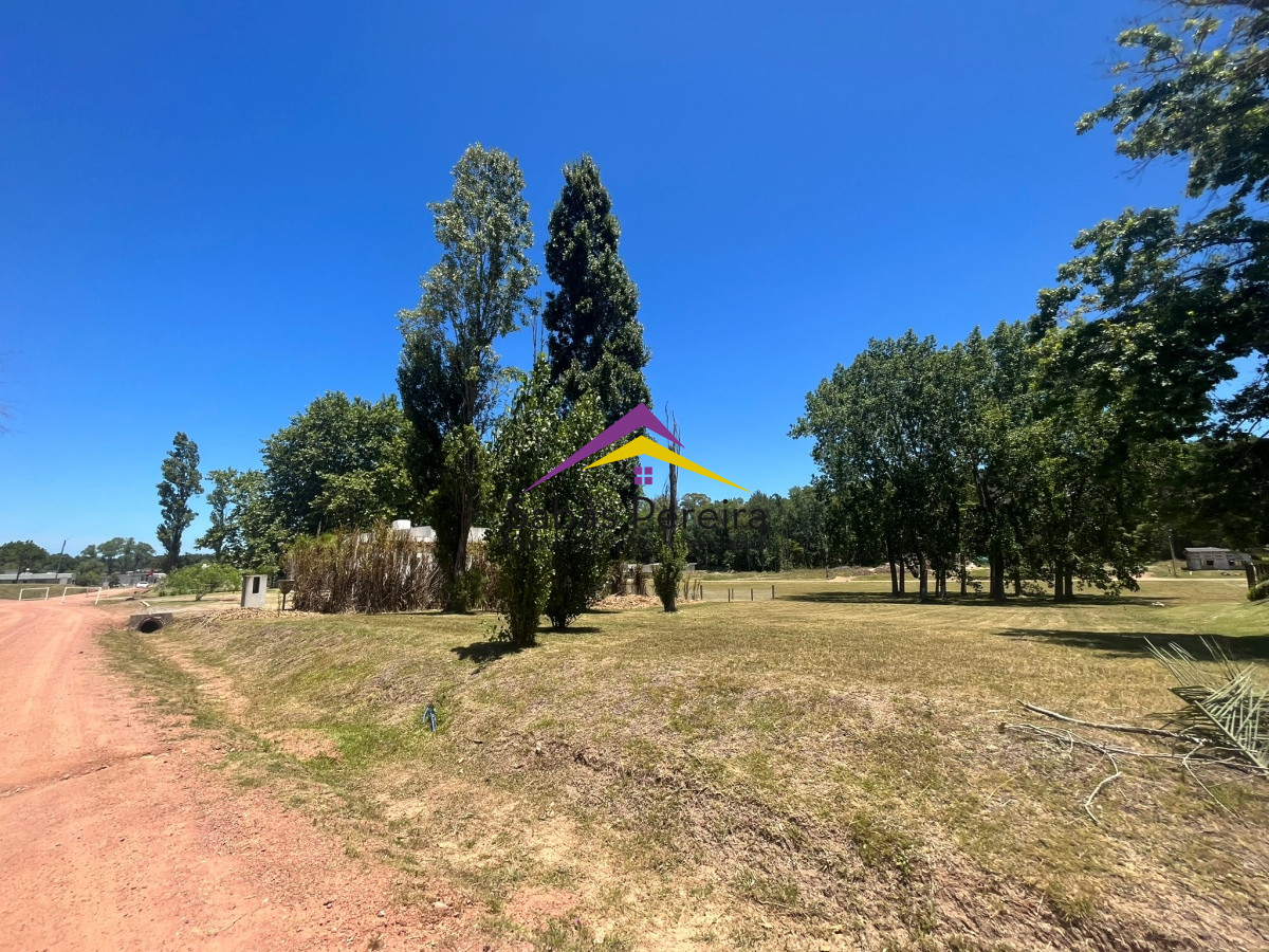 Terreno ID.41435 - Terreno en Complejo Verdemora