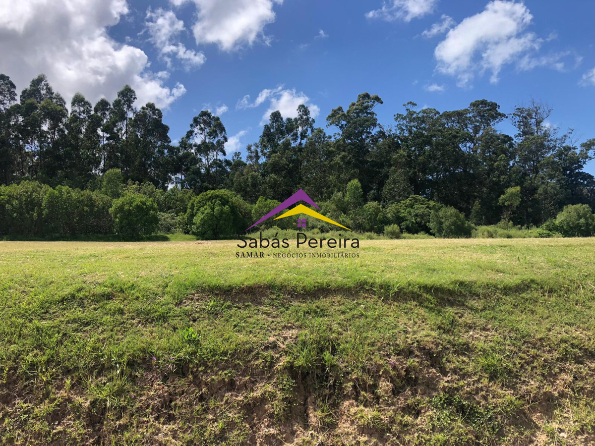 Camino Lussich - GoPunta - Portal Inmobiliario de Punta del Este - Maldonado