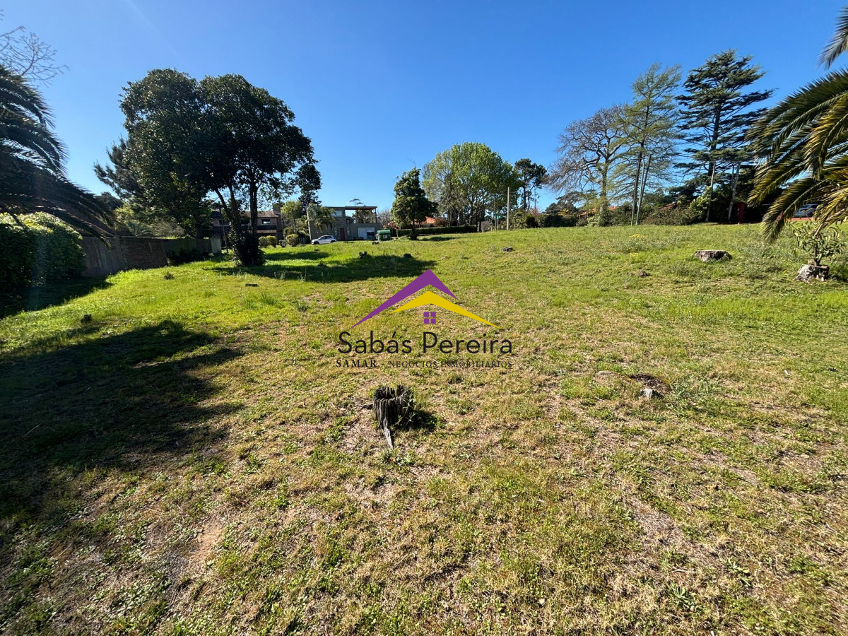 Terreno ID.41099 - VENTA TERRENO PINARES 
