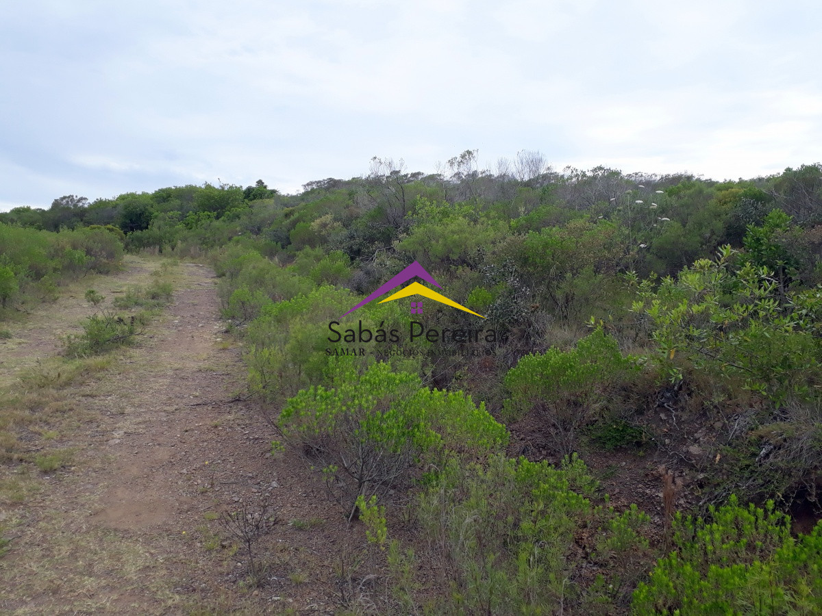 Terreno ID.40803 - Venta terreno Playa Verde, Piriápolis, Maldonado