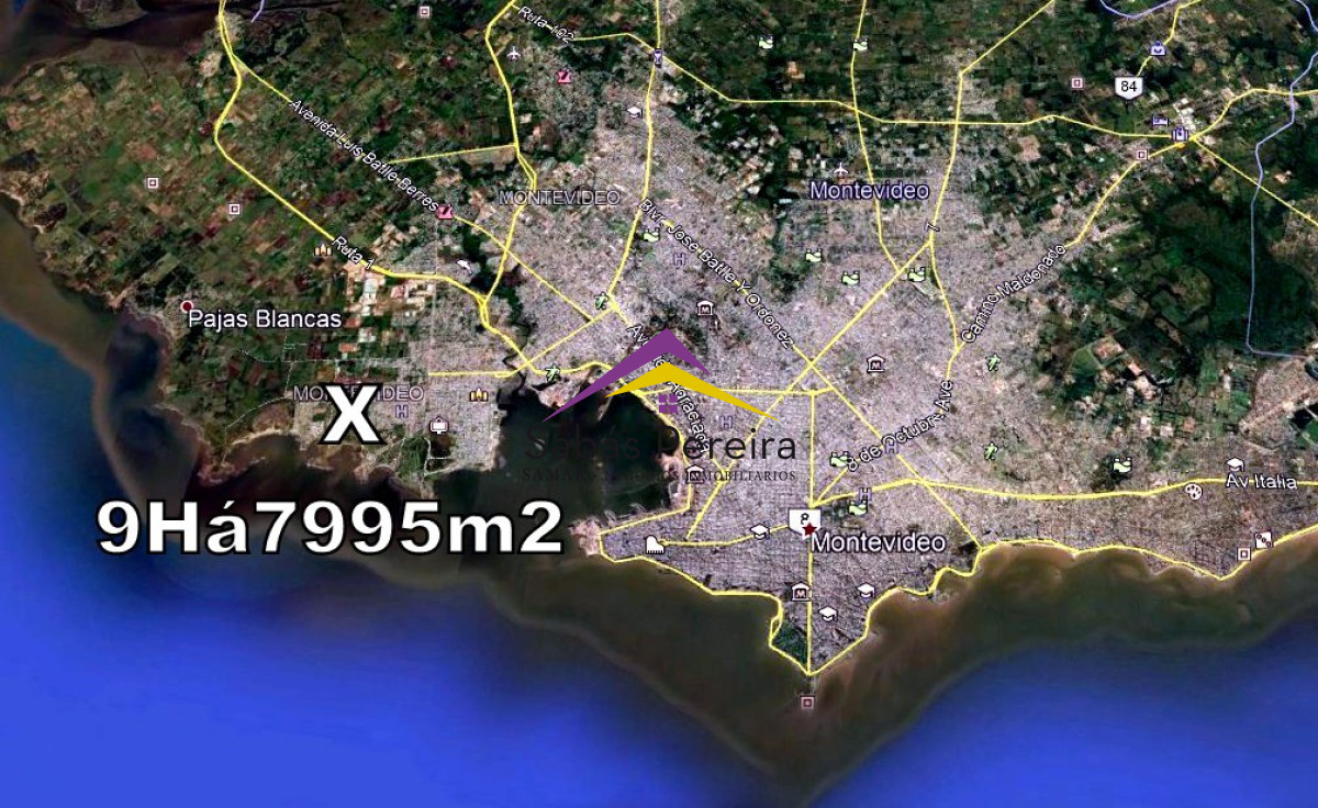 Cerro - GoPunta - Portal Inmobiliario de Punta del Este - Maldonado