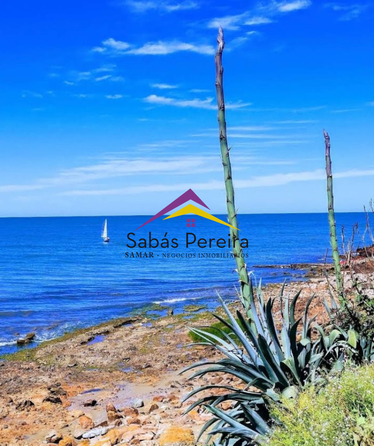 Punta Colorada - GoPunta - Portal Inmobiliario de Punta del Este - Maldonado