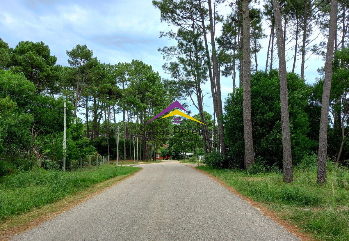 Country - GoPunta - Portal Inmobiliario de Punta del Este - Maldonado