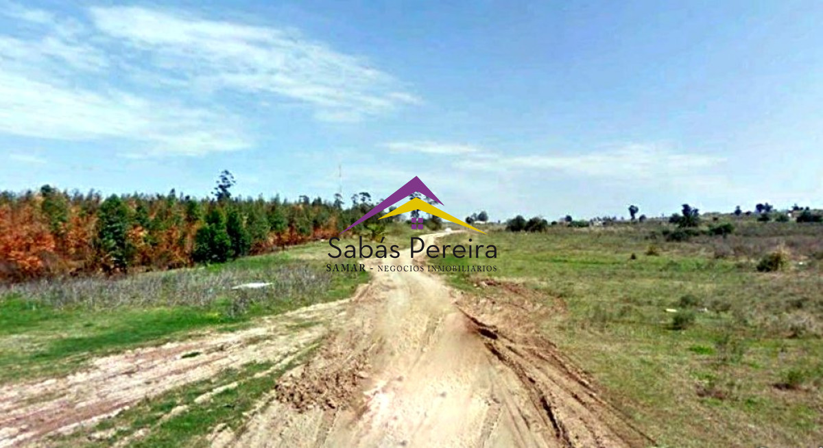 Terreno ID.41040 - SE VENDEN TERRENOS EN ZONA LOGISTIA DE MONTEVIDEO 