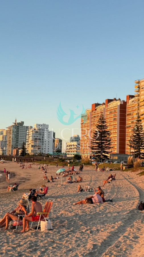 Apartamento ID.1042 - Venta apartamento 1 dormitorio y medio en Punta del este, Primera línea