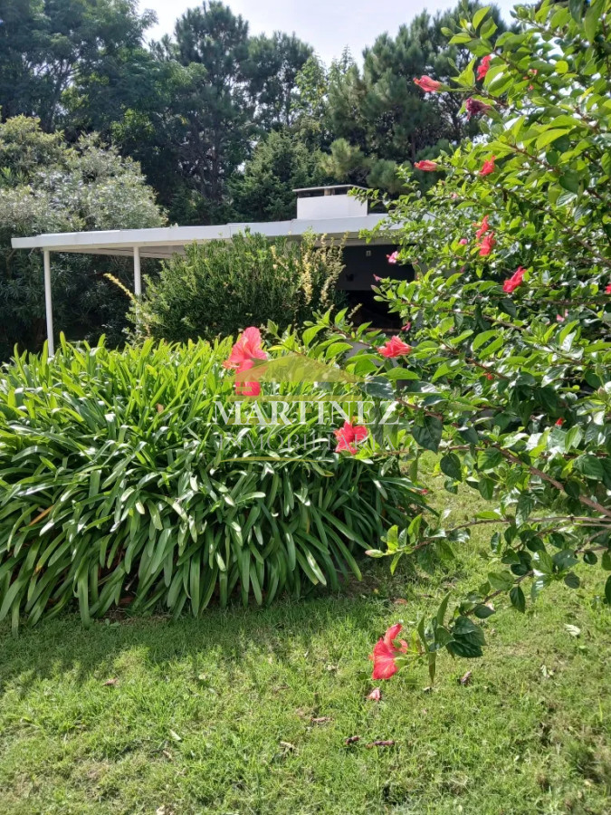 Apartamento ID.44 - Alquiler hermoso monoambiente en Punta del este, Aidy Grill
